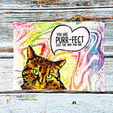 Vivid rainbow mixed-media card with the cat stamped over splashy color, 'You are purr-fect just the way you are' in the bubble.