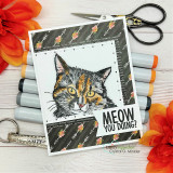 White card with the ginger tabby on a black-and-orange geometric panel, 'Meow you doing?' bubble beside markers.