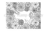 Citrus Medley border background red rubber stamp from Unity Stamp Co, a dense frame of sliced oranges, lemons and limes with leaves, left open in the middle for a sentiment.