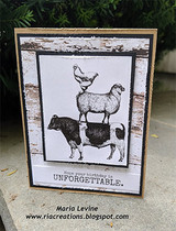 Rustic card with the animal stack on white-washed wood paper and the birthday sentiment.
