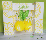 Green card with a lemon-yellow citrus background, two coloured citrus fruits with leaves, sentiment 'A better day always comes'.