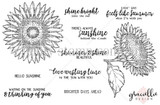 Red rubber stamp sheet: a large open sunflower and a second sunflower with leaf, plus ten script sentiments including 'shine bright like the sun', 'hello sunshine' and 'brighter days ahead'.