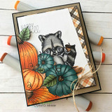 Card of the colored raccoon with orange and teal pumpkins and a happy-fall banner.