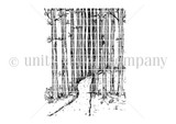 The A Walk in the Woods red rubber background stamp by Angie Blom: tall birch trees along a winding forest path.