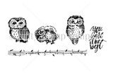 Uncolored red rubber owls-on-a-branch stamp with 'you are the best.'