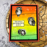Three owls on a bright orange-green ombre background, 'You are a strange bird (I like it).'