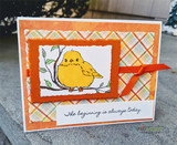 Orange plaid card with a ribbon: the yellow bird on its branch above “The beginning is always today.”