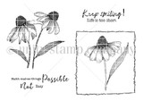 Black-and-white stamp set of coneflowers with a separate frame, and 'Keep smiling! Life is too short' and 'Faith makes things possible, not easy.'