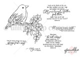 Red rubber stamp set of a bird on a flowering branch with the scripture 'Look at the birds of the air... are you not of more value than they?' and 'do not worry.'