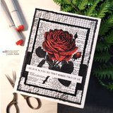 Dramatic card of a black-and-white rose over a dotted background.