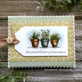 Card with a scalloped tag holding the pots colored in copper, grey and gold watercolor, on soft green polka dot paper with a wooden button.