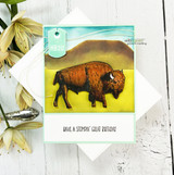 Handmade card featuring the rugged buffalo standing on the prairie, colored on a soft blue-sky scene, stamped with 'Congrats on aging so graze-fully'.