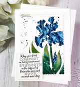 White stitched card: the iris colored deep blue over the comfort-and-hope sentiment, layered on blush envelopes.