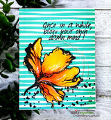 Teal wonky-striped card behind a colored orange poppy.