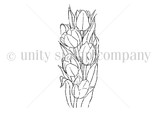 Uncolored red rubber slimline tulip stamp by Sandhya Iyer.