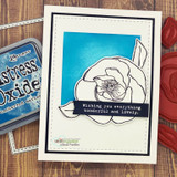 Sample card with a single uncolored bloom die cut against a bright teal blended square, framed in navy and cream with a sentiment strip reading 'Wishing you everything wonderful and lovely'.