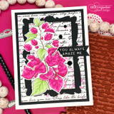 Bright pink card with magenta bougainvillea on a black frame and 'you always amaze me.'