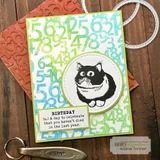 Green and teal card with the number background and a fluffy black and white cat in a circle, above a panel reading Birthday, a day to celebrate that you haven't died in the last year.