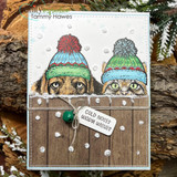 Snow-dotted card with a dog and cat in knit beanies peeking over a wood fence with a 'Cold noses warm wishes' tag