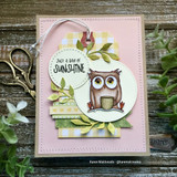Card and tag with the owl on a branch: 'Just a ray of sunshine.'