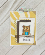 Card with the owl on a branch over a yellow sunburst: 'Just a ray of sunshine.'