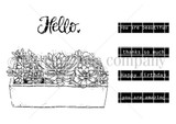 Line-art stamp sheet of a wooden planter box of succulents with 'Hello.', 'you are beautiful', 'thanks so much', 'Happy Birthday' and 'you are amazing.'