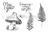Nature of Friendship