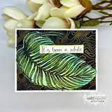 Sample card: an aqua and green frond over a black and gold topographic background with 'It's been a while'
