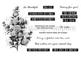Black-and-white line-art stamp set of a hydrangea and lilac floral cluster with many sentiments including 'so kind so caring so you,' 'hooray for you,' 'With sympathy,' 'Thinking of you during this difficult time,' and 'You are so sweet.'