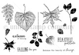 Red rubber stamp set of assorted autumn leaves with 'Embrace the beauty of change,' 'autumn is calling' and 'Heartfelt gratitude.'