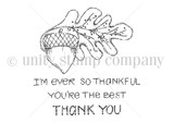 Ever So Thankful