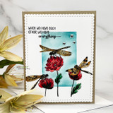 We Have Everything {uu 8/22}