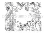 Autumn Bounty {bkg 8/22}