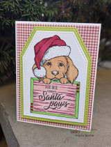 Santa-hat puppy with 'Here comes Santa paws' sign on a houndstooth card.