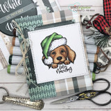 Green-hat puppy on a plaid card, 'feliz navidog'.