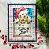 Santa-hat puppy with a 'Here comes Santa paws' sign on a plaid card.