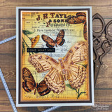 Card with a large skeletal butterfly over the ledger, 'COME WHAT MAY.'