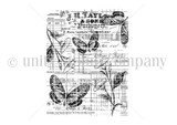 Black-and-white Wings & Petals Ledger background stamp by Sandhya Iyer: butterflies and wildflowers over an antique ledger.