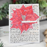 Soft pink poinsettia layered on the script background, with a silver 'believe in the magic' strip and greenery.