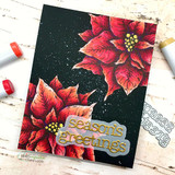 Card sample. Red poinsettias on black, 'season's greetings.'