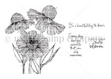 Dreamin' Daze red rubber stamp set in line art: a large sketchy spray of coneflowers and daisies with leaves, plus the sentiments “It's a beautiful day to dream,” “now is your time to bloom” and “Every day brings moments that turn into memories.” Illustrated by Angie Blom.