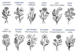 Stamped and labeled birth-month flowers in fine outline: January Carnation, February Violet, March Daffodil, April Daisy, May Lily of the Valley, June Rose and more through December Holly.