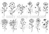 Floral & Stars Zodiac