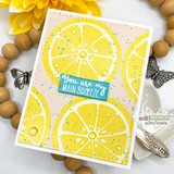 Squeeze the Day {stamp & die} bundle