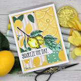 Squeeze the Day {stamp & die} bundle