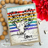 Rainbow-striped card with a white kitten beside the script 'love is a four-legged word.'
