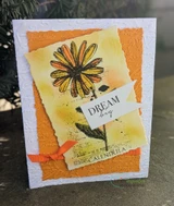 Handmade card made with Unity Stamp Co’s Joy In Your Dreams red rubber stamp set — a tall calendula flower with a botanical label, a butterfly and mixed-media text collage — stamped and colored, with the sentiment “Go find your joy”.