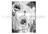 Rectified Poppies {bkg 3/23}