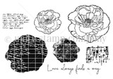 Poppy Impressions