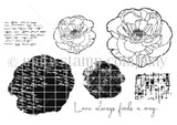 Poppy Impressions